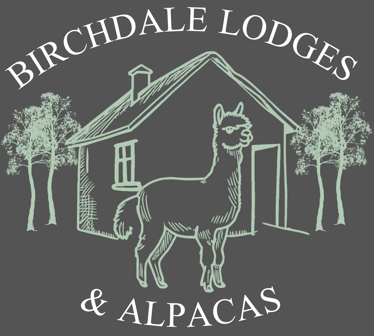 Birchdale Lodges & alpacas logo