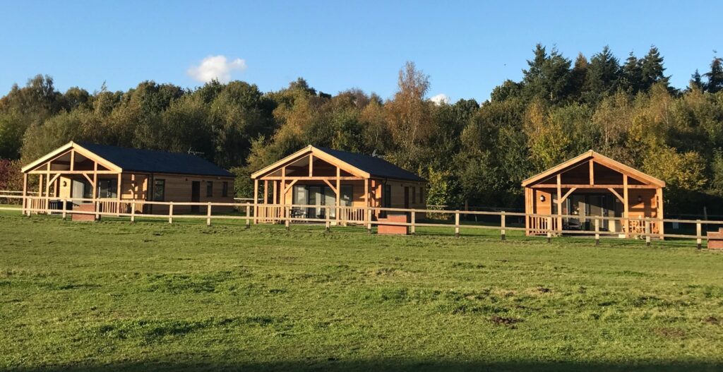 3 Birchdale lodges situated in Norton Disney, Lincolnshire. The lodges are set against a woodland with a blue sky behind them and a field of grass in front.